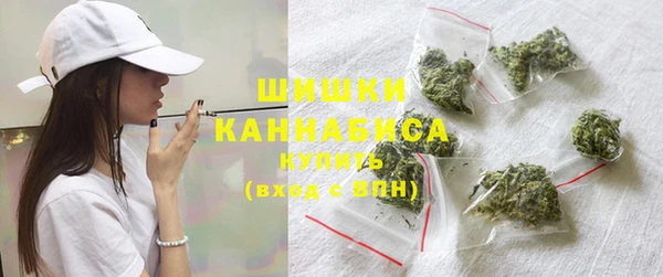 ешки Новозыбков