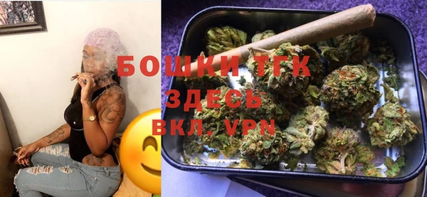 трава Новодвинск