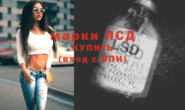 ешки Новозыбков