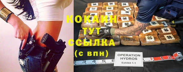 трава Новодвинск