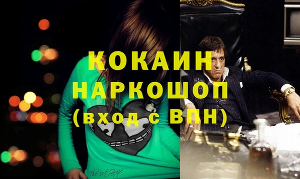 трава Новодвинск