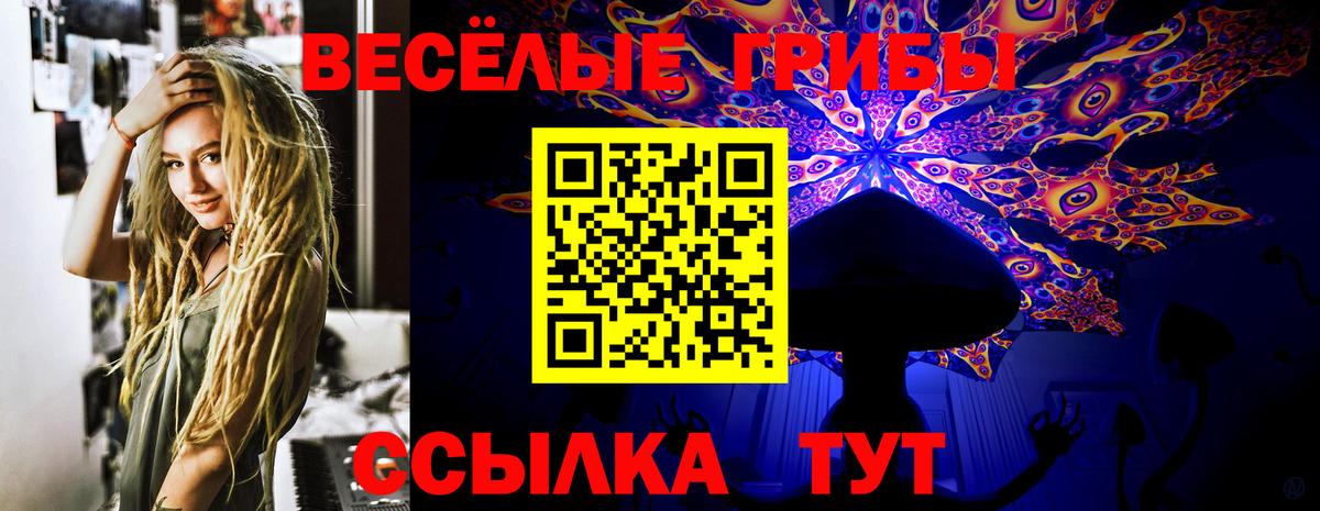 Псилоцибиновые грибы MAGIC MUSHROOMS  Галлюциногенные грибы ЛСД  Вход с VPN  Мичуринск 