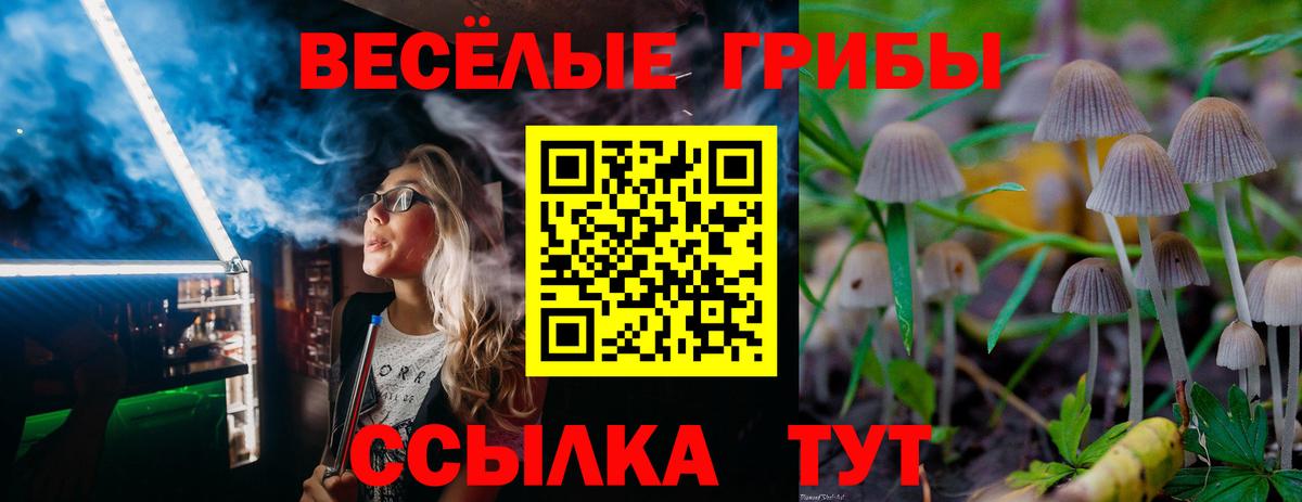 Псилоцибиновые грибы прущие грибы Мичуринск